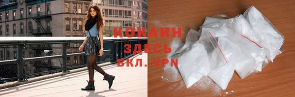 прущие грибы Михайлов