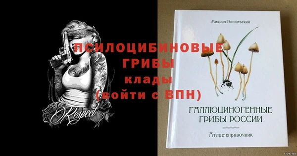 Альфа ПВП Горнозаводск