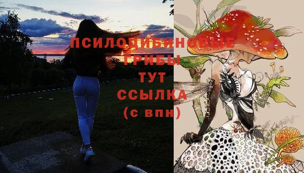 трава Горняк