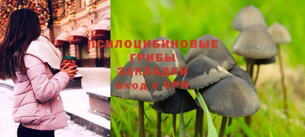 гашик Горно-Алтайск