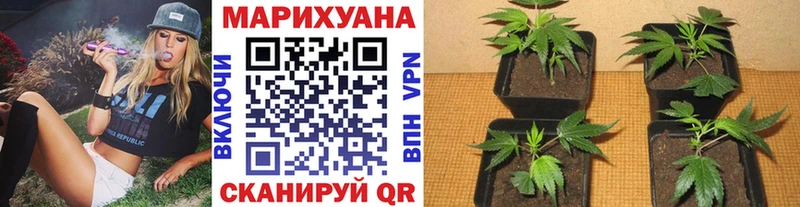 Конопля тримм  Купить  Кемь 